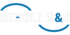 Pełne logo serwisu Biegli S&S